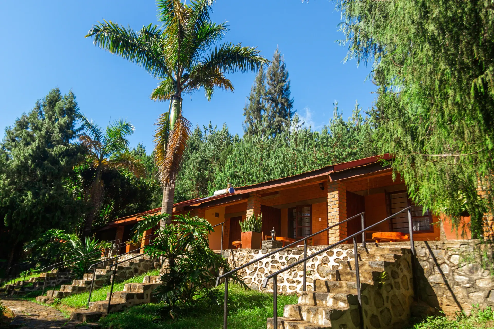 A brick guest cottage on a stone-walled terrace, framed by a tall palm and pines under a clear blue sky